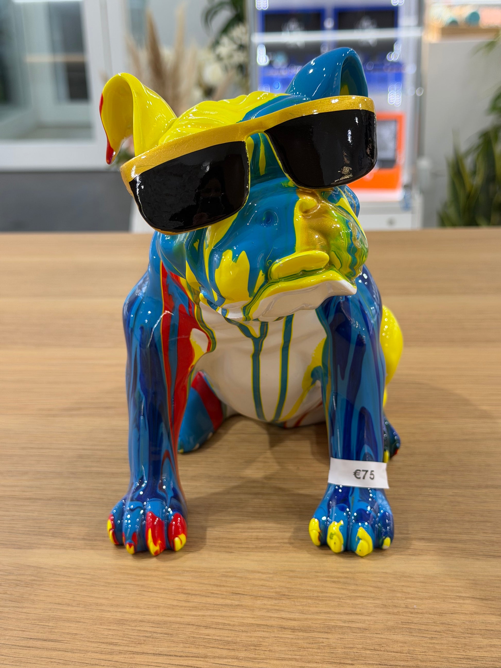 BULLDOG DA ESPOSIZIONE MULTICOLOR