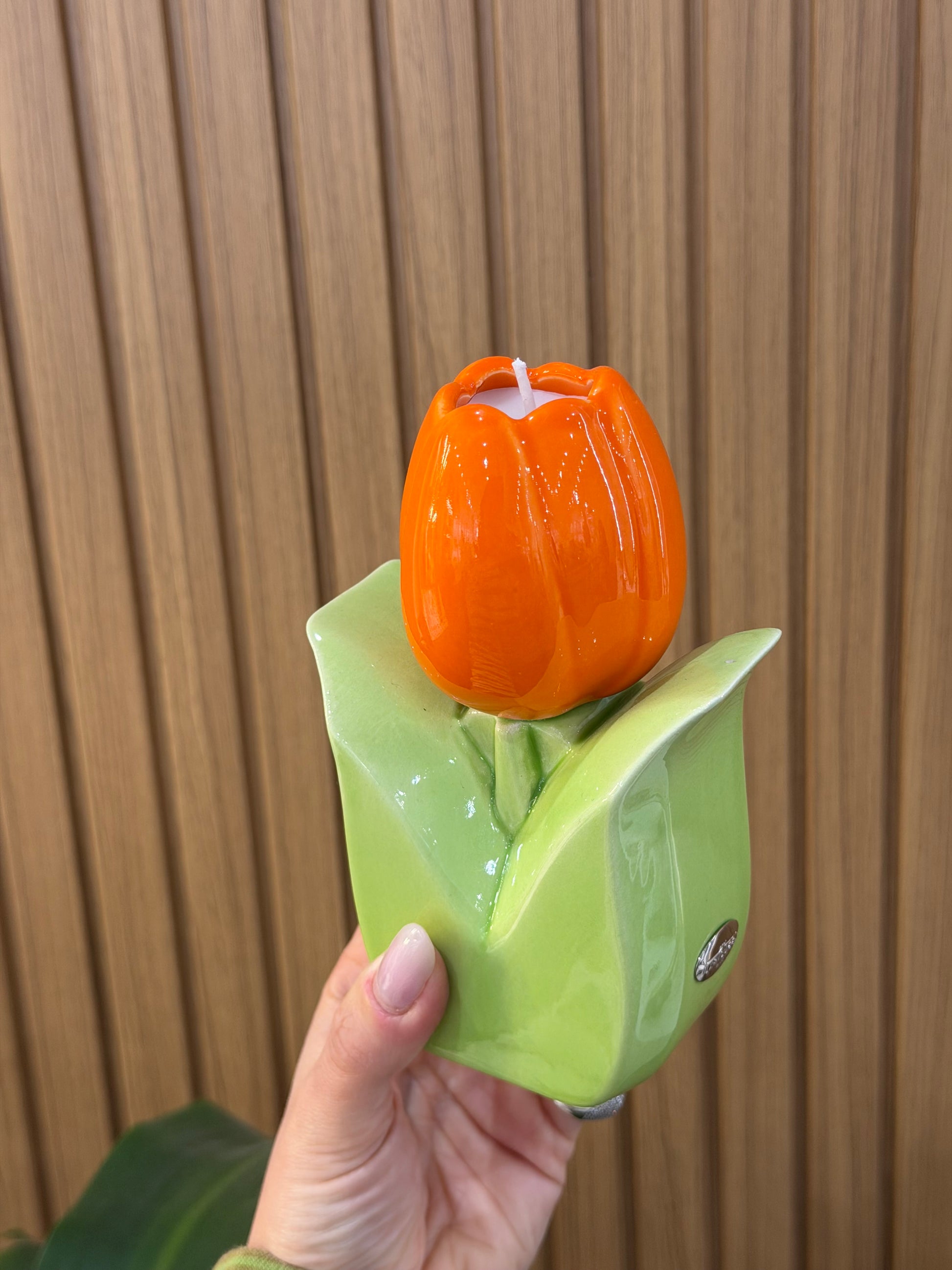 CANDELA ILARY QUEEN TULIPANO ARANCIONE
