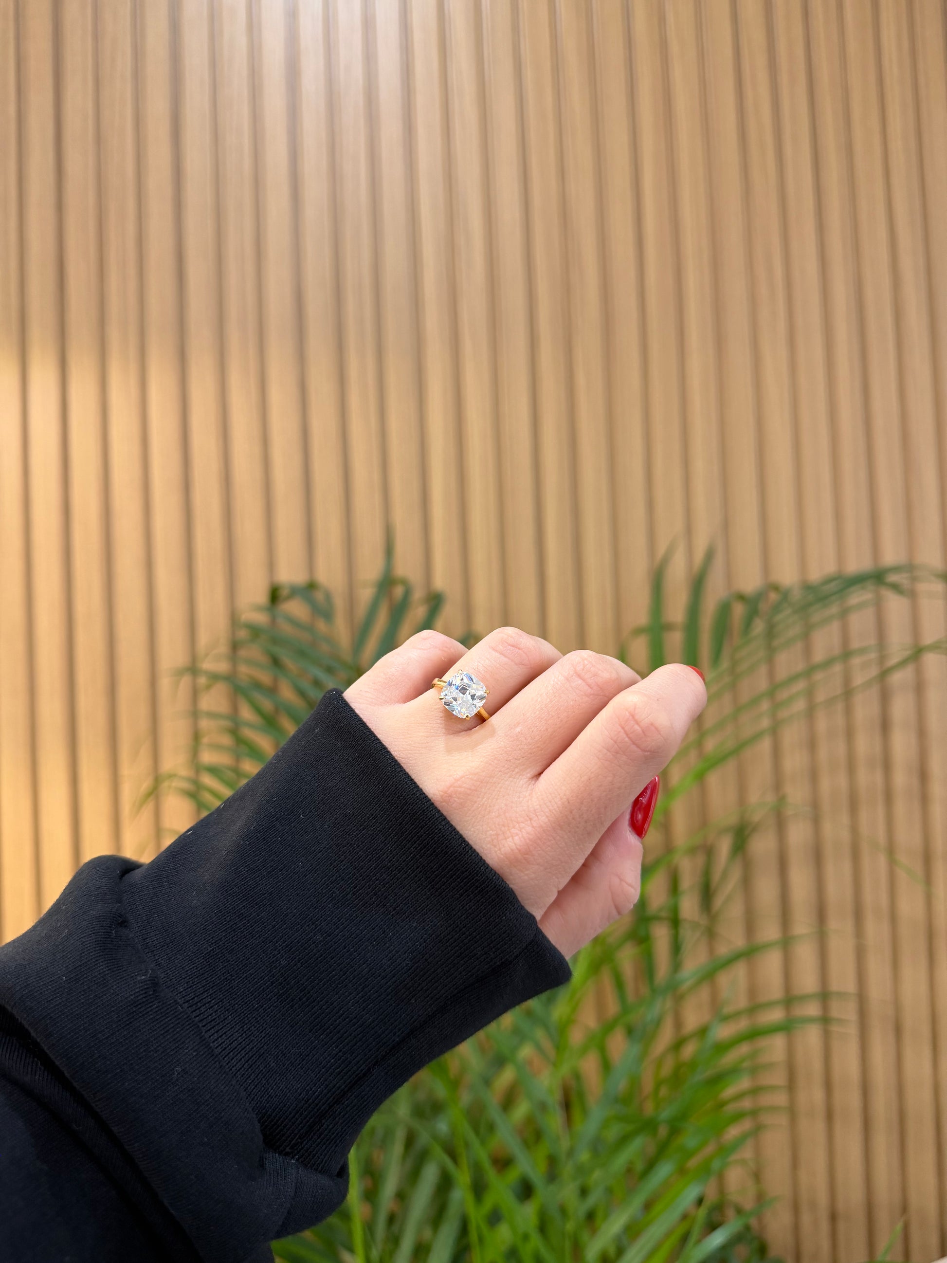 BOX TEDDY BIANCO CON ANELLO REINA ARGENTO 925 DORATO