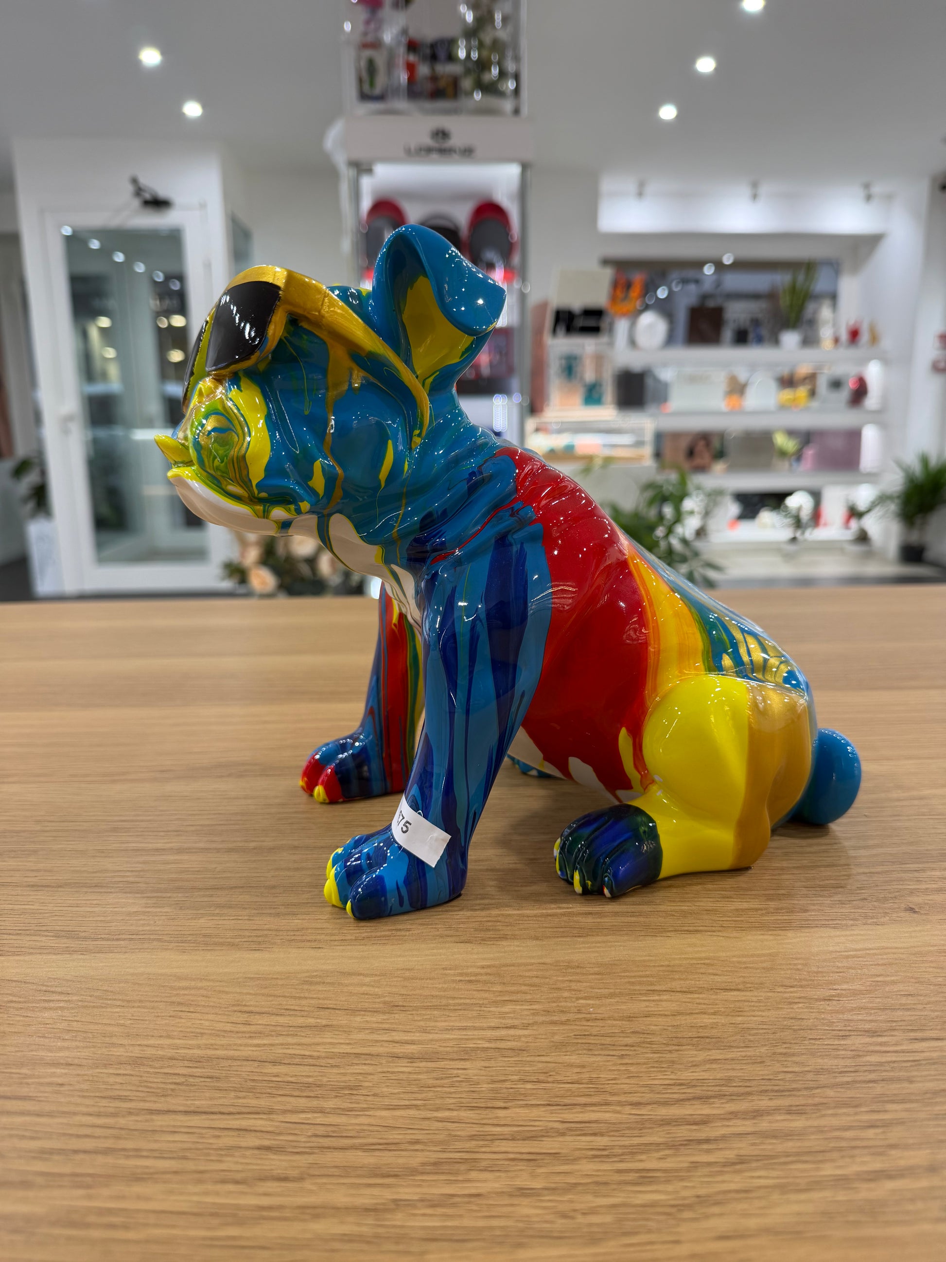 BULLDOG DA ESPOSIZIONE MULTICOLOR