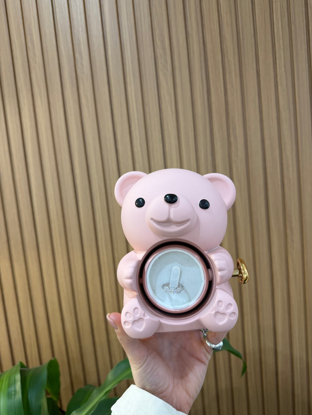 BOX TEDDY ROSA CON ANELLO MAGIC ARGENTO 925