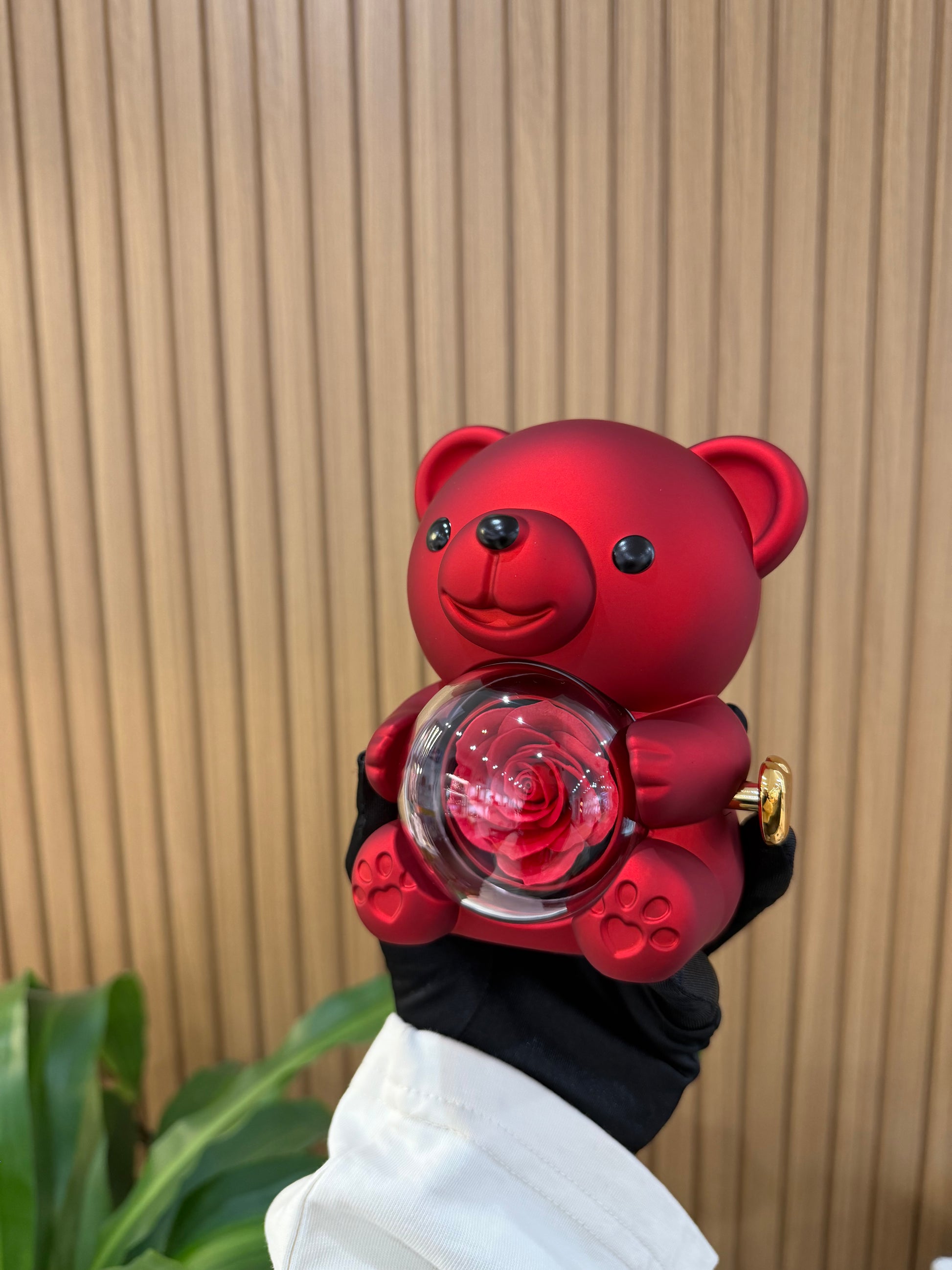 BOX MINI TEDDY CON ANELLO TRILOGY VAIANA ARGENTO 925