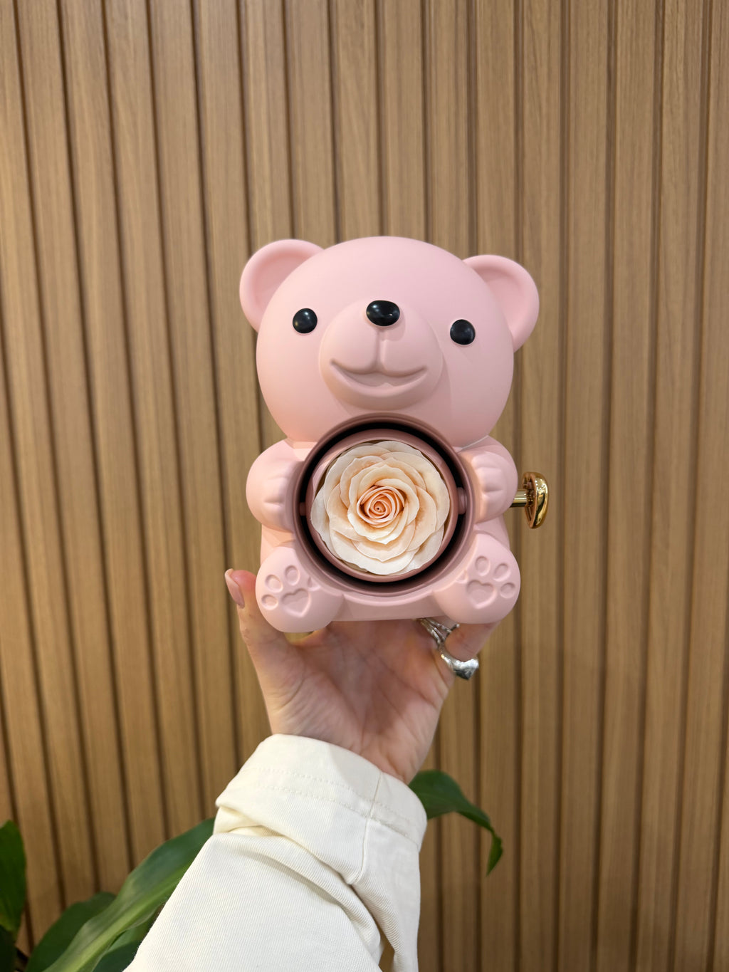 BOX TEDDY ROSA CON ANELLO MAGIC ARGENTO 925