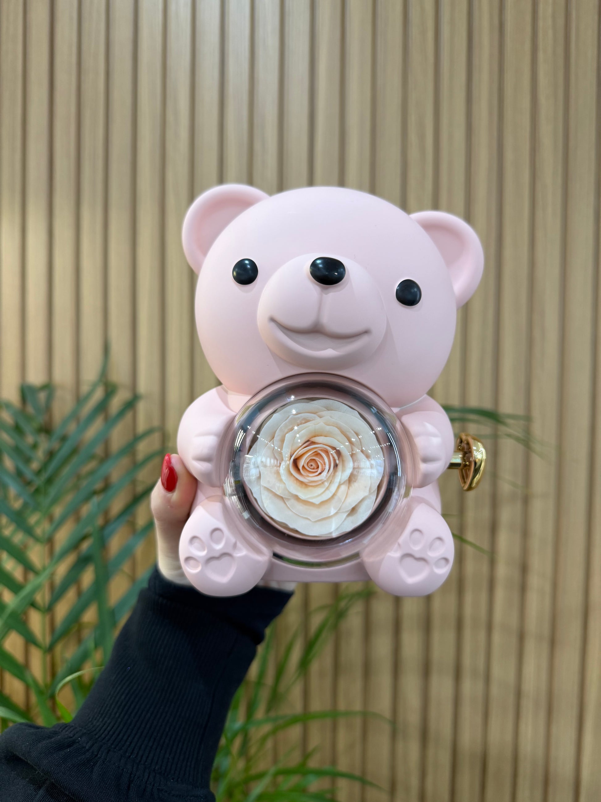 BOX TEDDY ROSA CON ANELLO CHIC ARGENTO 925