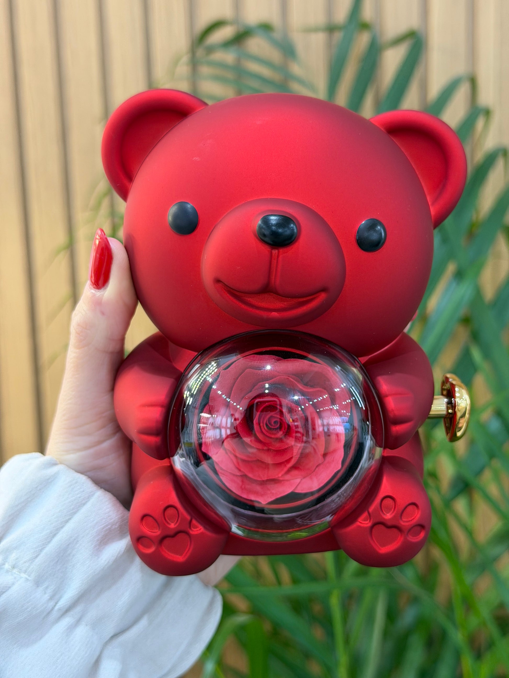BOX MINI TEDDY CON ANELLO DAFNE ARGENTO 925