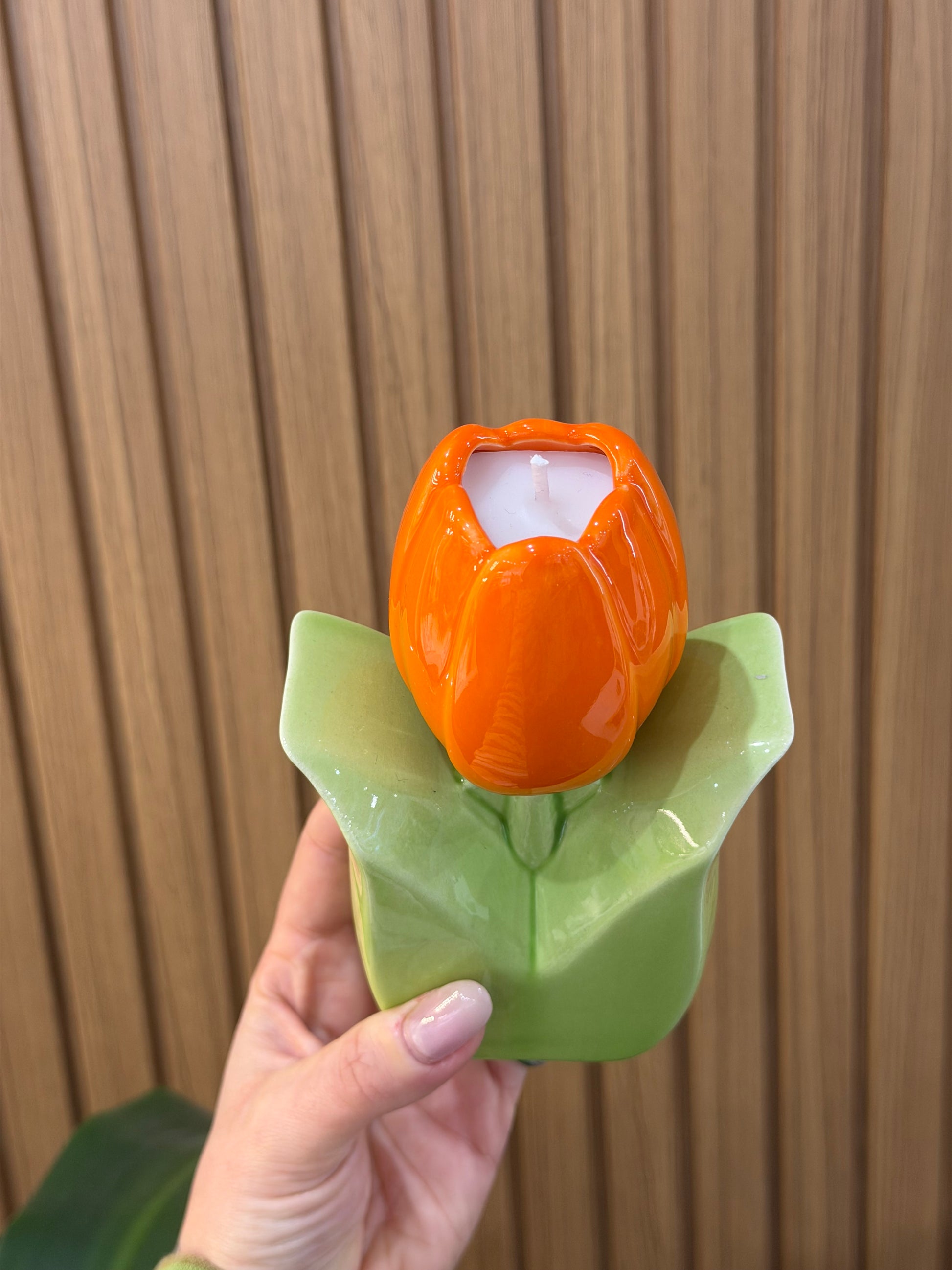 CANDELA ILARY QUEEN TULIPANO ARANCIONE