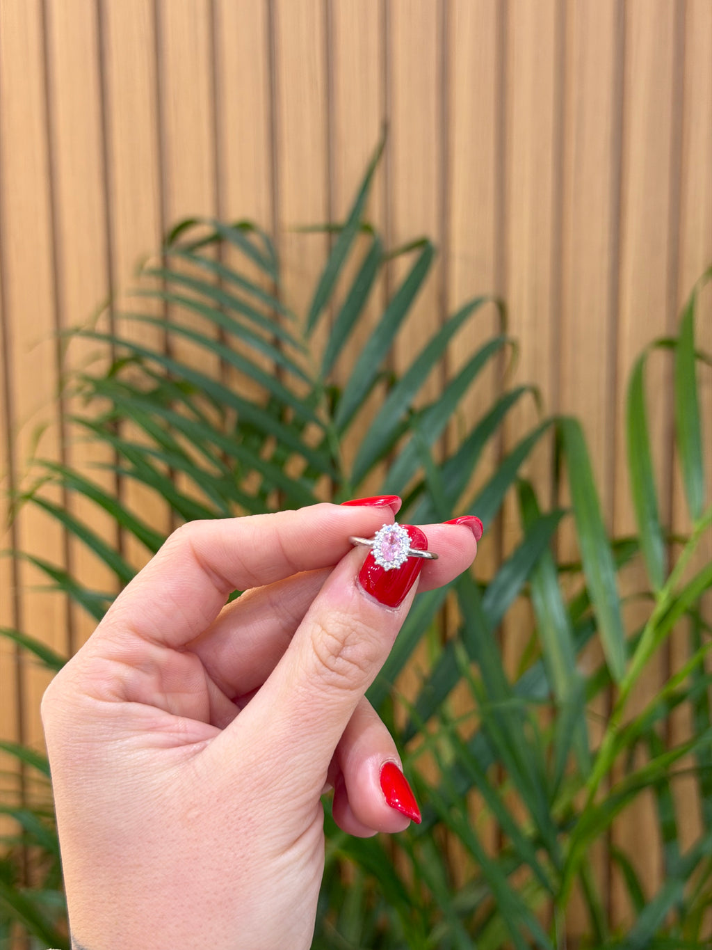 BOX MINI TEDDY CON ANELLO KATE ROSA ARGENTO 925