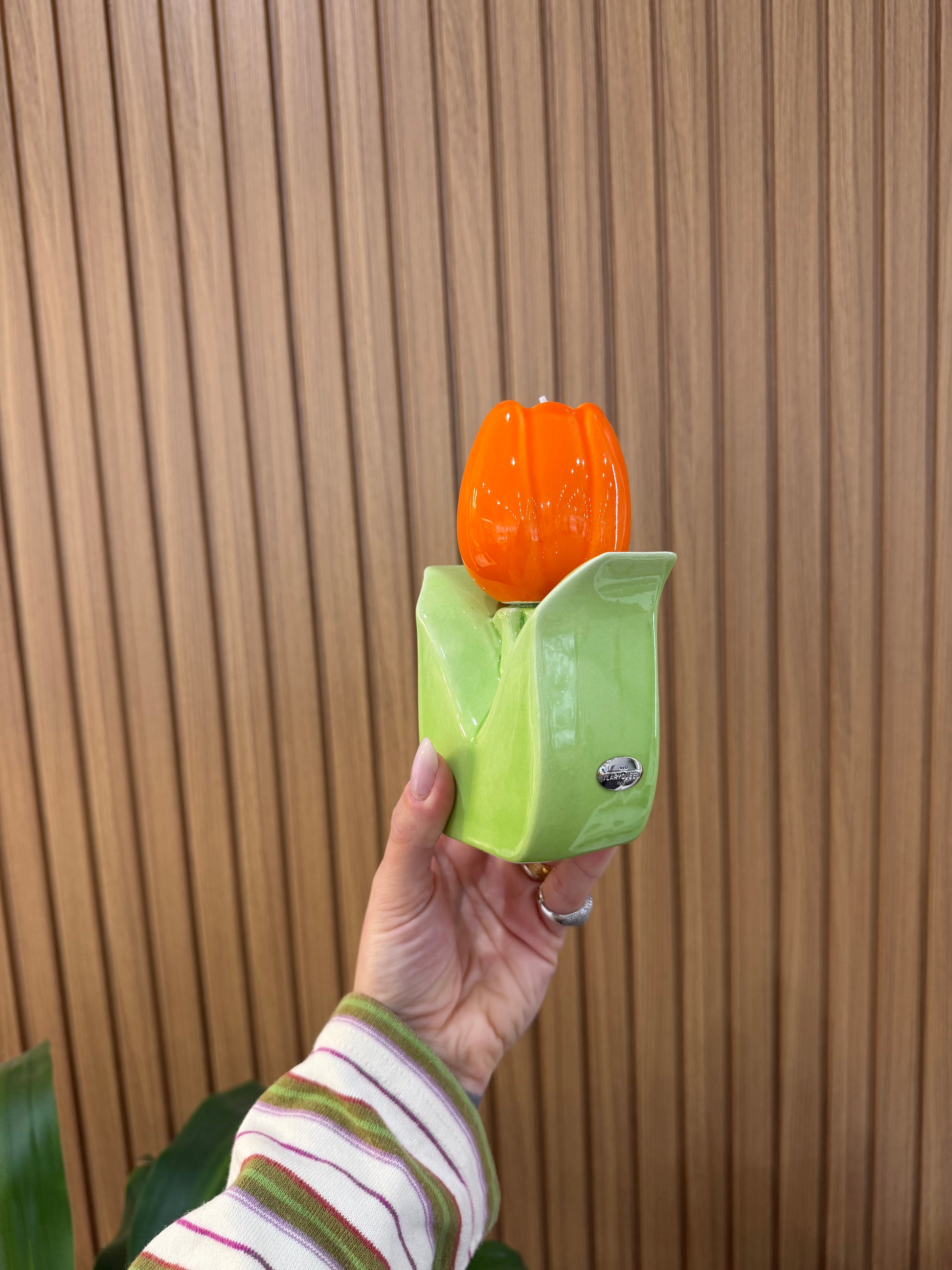 CANDELA ILARY QUEEN TULIPANO ARANCIONE