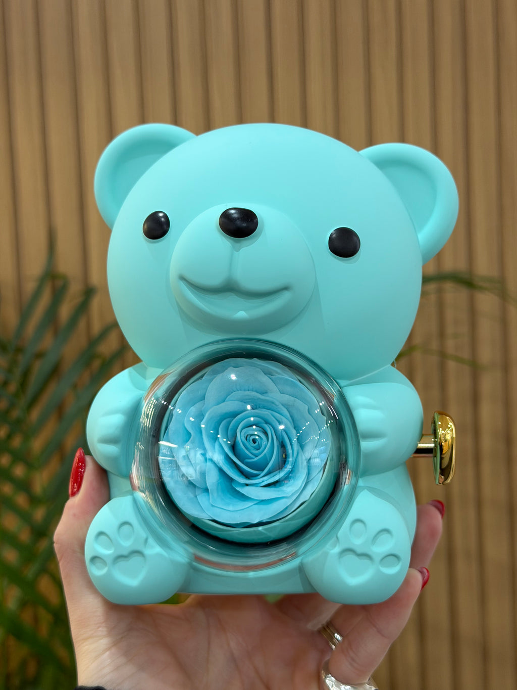 BOX TEDDY VERDE ACQUA CON ANELLO CROWN ARGENTO 925