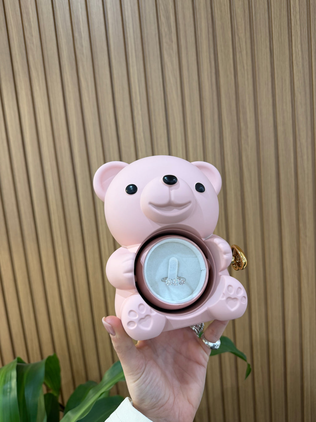 BOX TEDDY ROSA CON ANELLO MAGIC ARGENTO 925