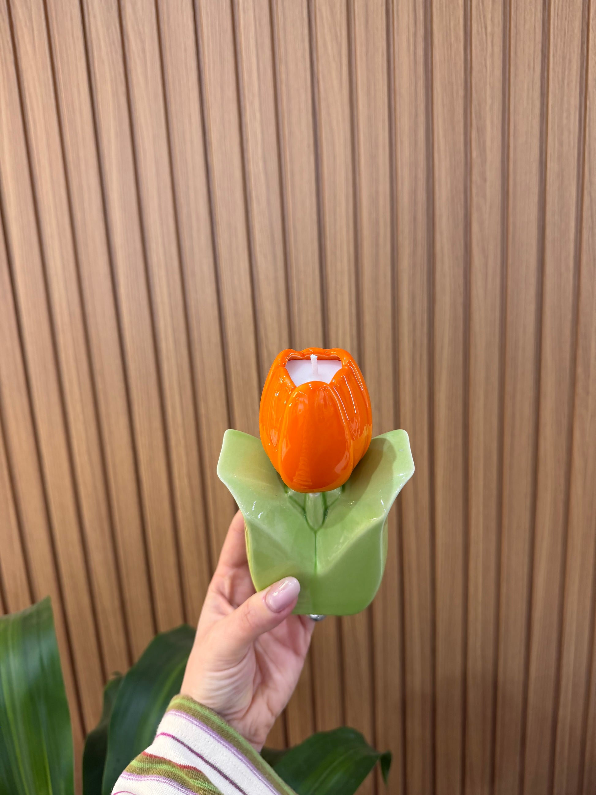 CANDELA ILARY QUEEN TULIPANO ARANCIONE