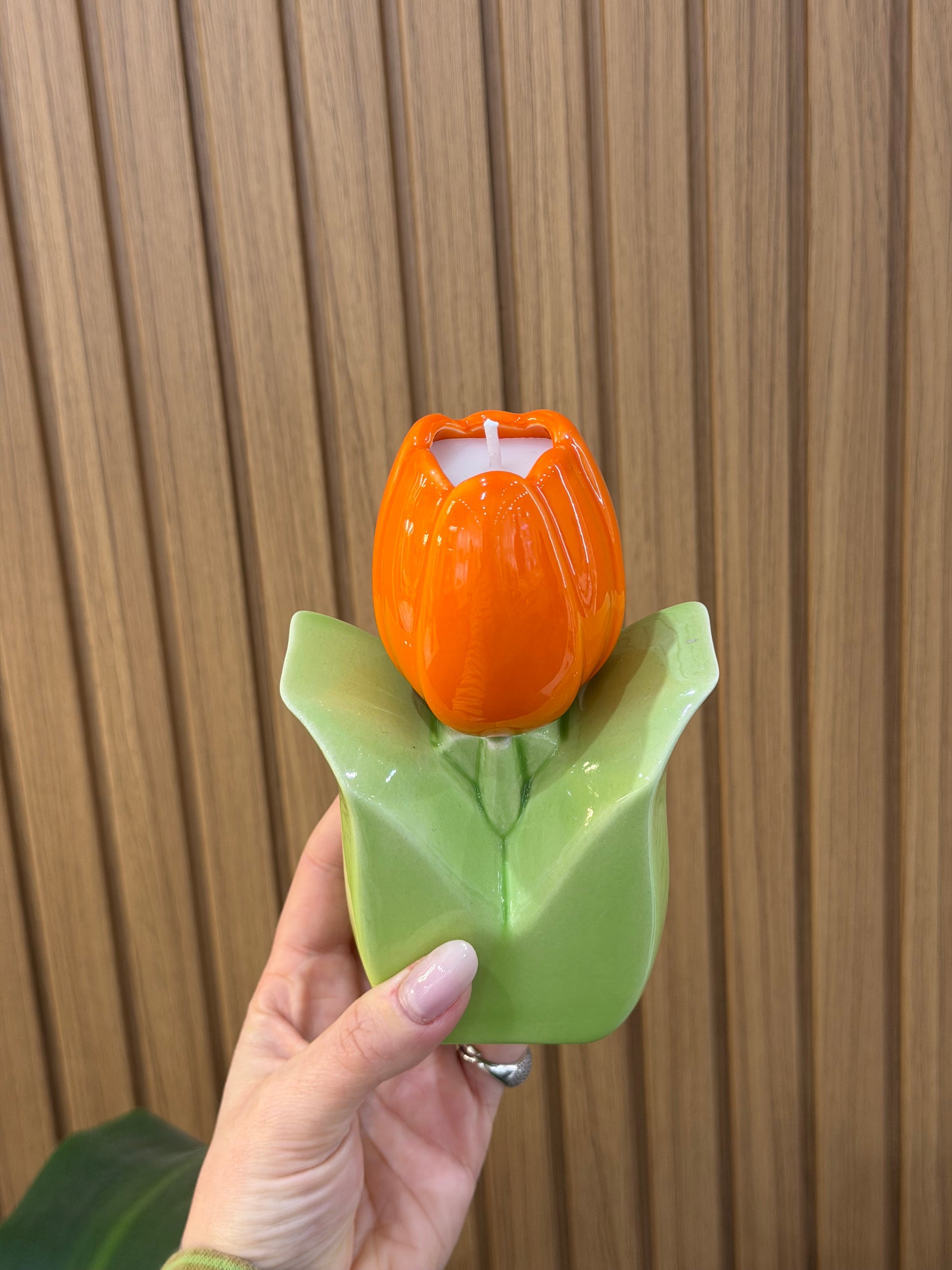 CANDELA ILARY QUEEN TULIPANO ARANCIONE