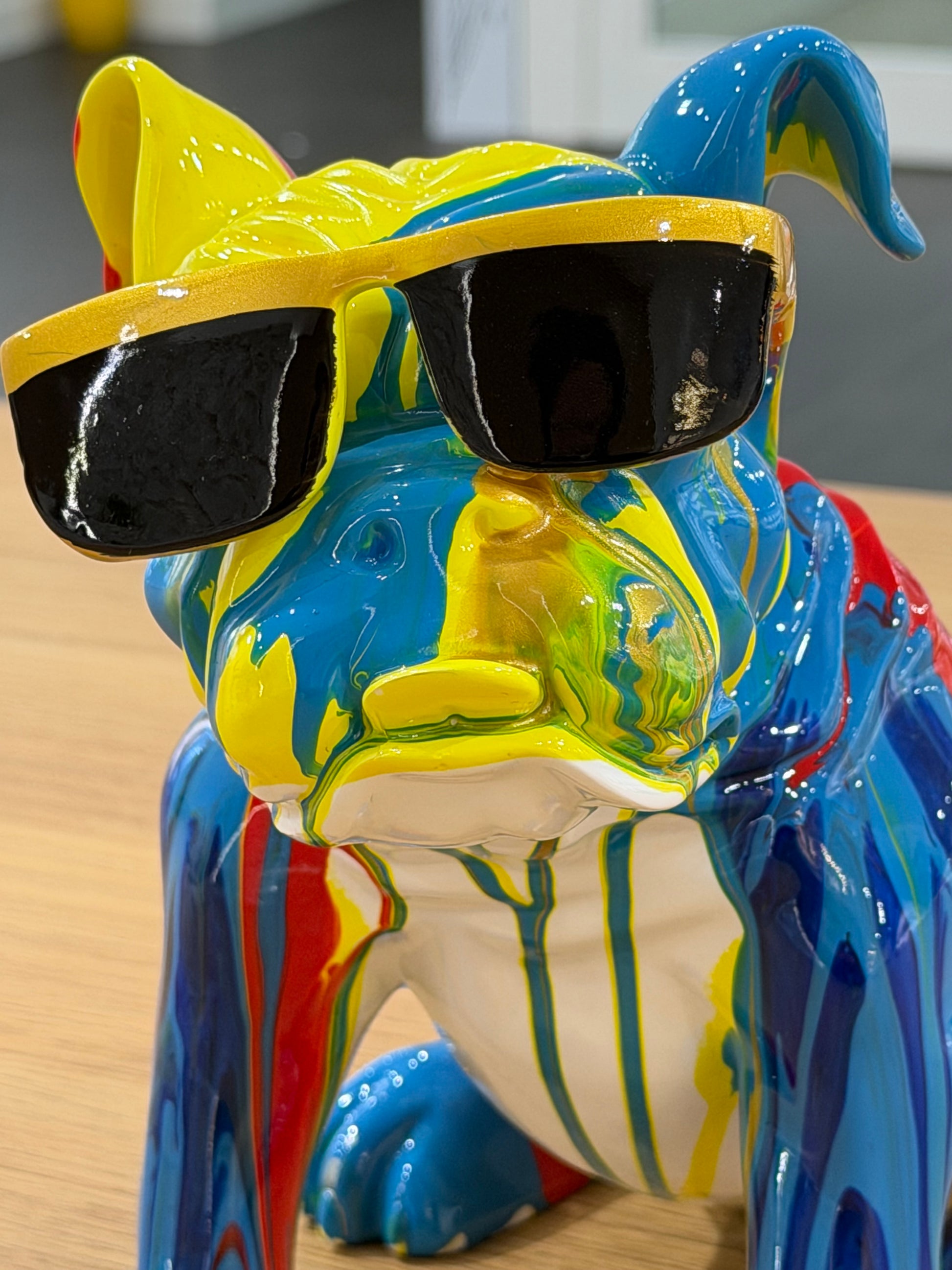 BULLDOG DA ESPOSIZIONE MULTICOLOR